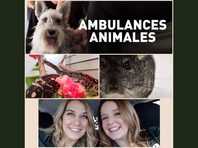 Ambulance animale : Saison 02 